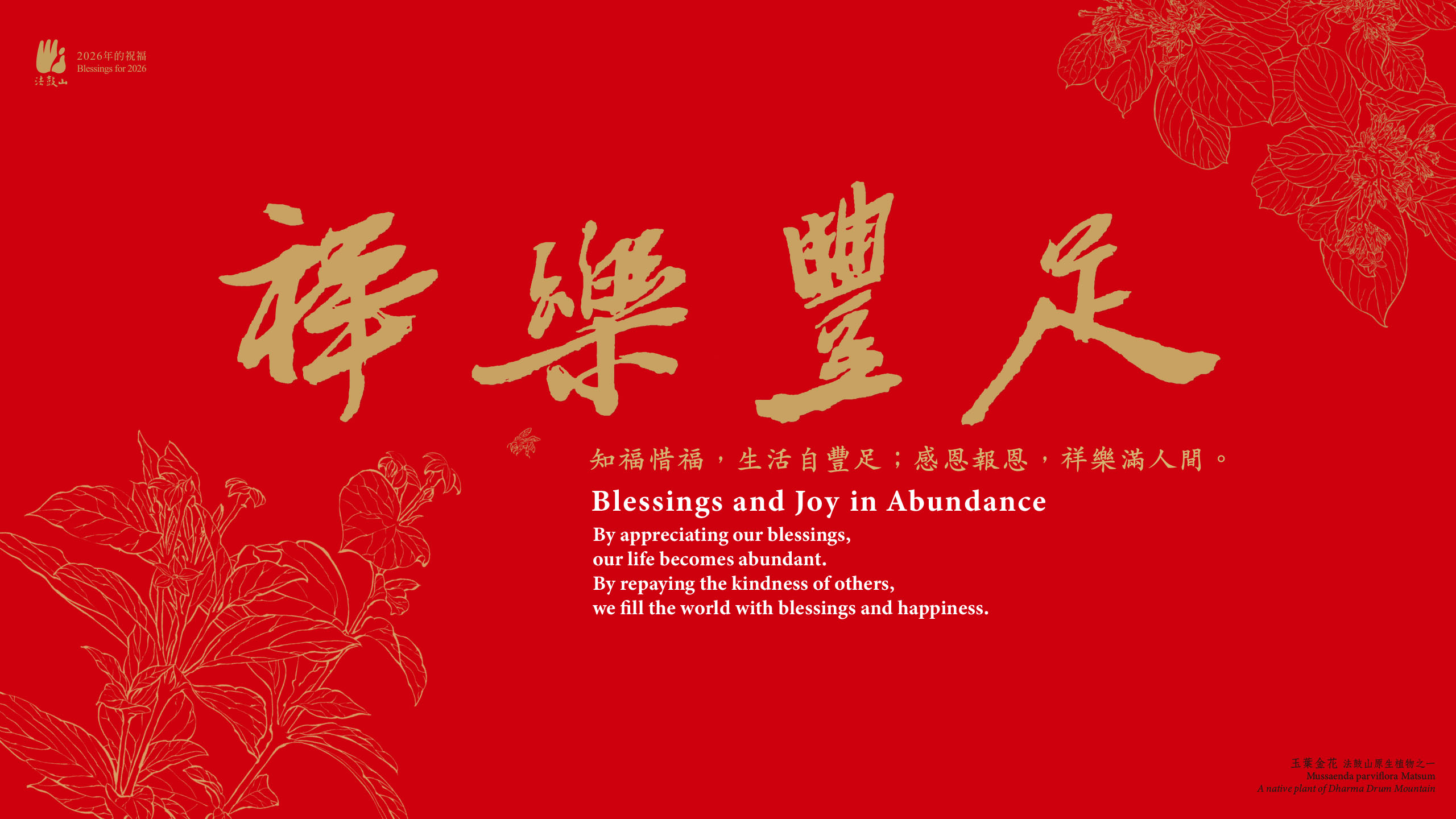 2026祥乐丰足